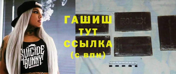 гидра Карпинск