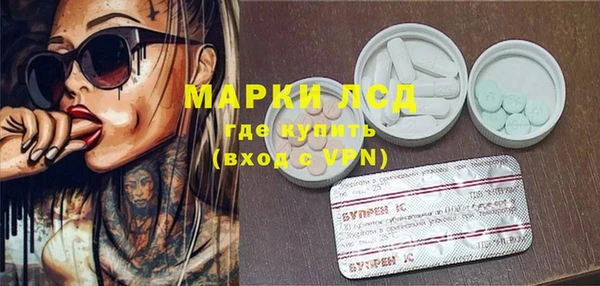 гидра Карпинск
