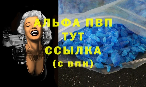 гидра Карпинск