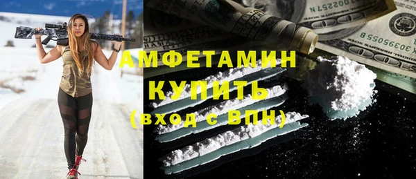 гидра Карпинск