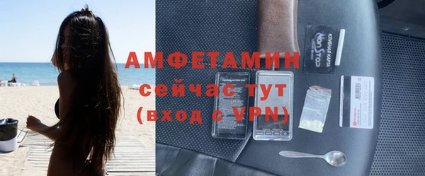 гидра Карпинск