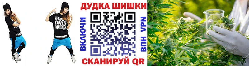 продажа наркотиков Камызяк Каннабис сатива